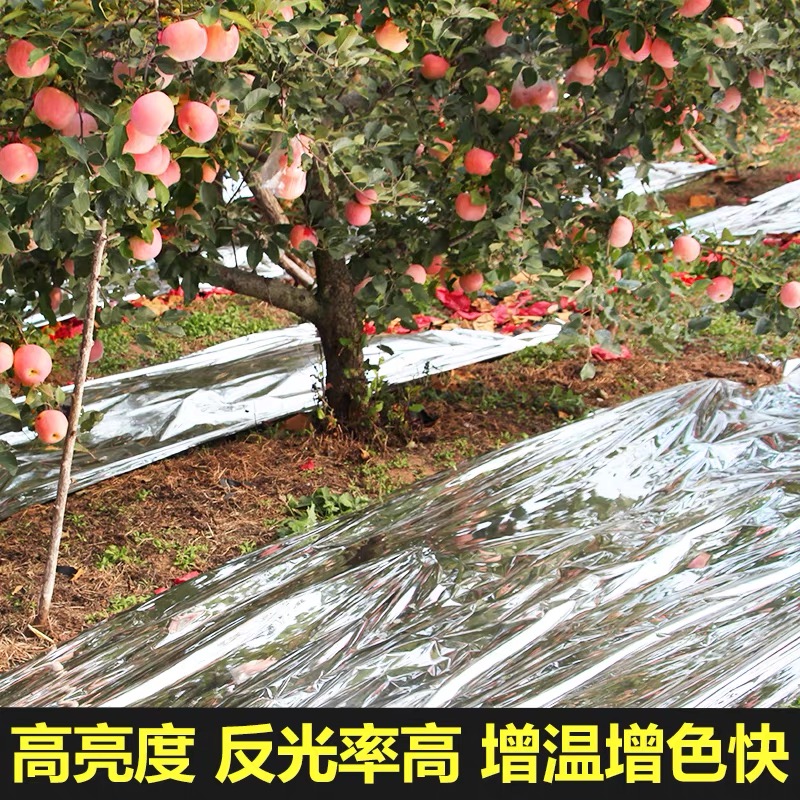 襄阳市大棚膜果树反光膜 - 一站式服务